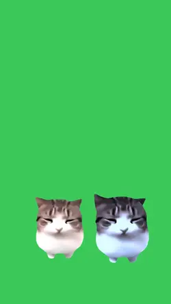meow dump2 trend
