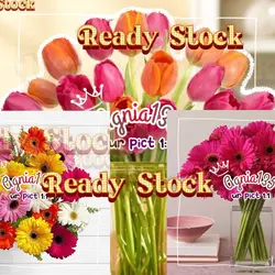 cvOlshop.kwt:1