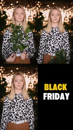 Black Friday Sale
