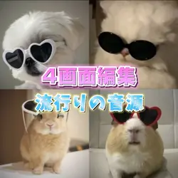 4画面編集