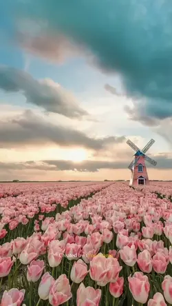 NETHERLANDS TRAVEL