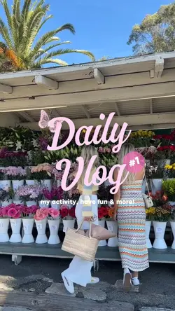 Daily Vlog 