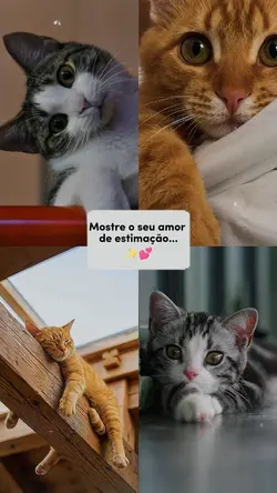 estimação