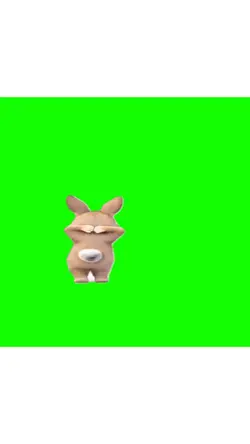 Meme rabbit