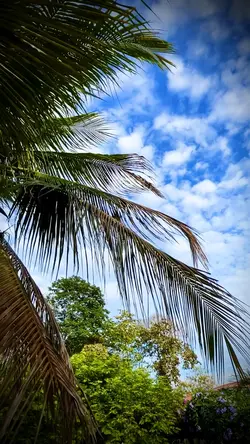 Natureza 