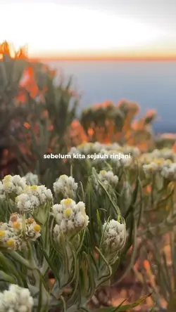 kerinci dan rinjani