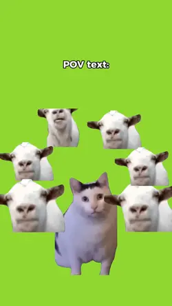 Meme mèo và dê