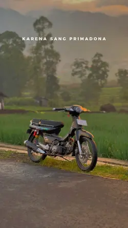 bunga desa