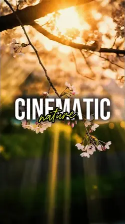 CINEMATIC NATURE