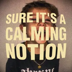 notion