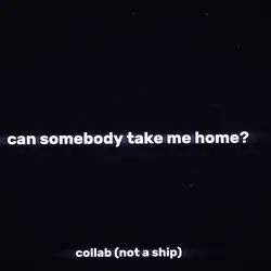 if you seek amy 