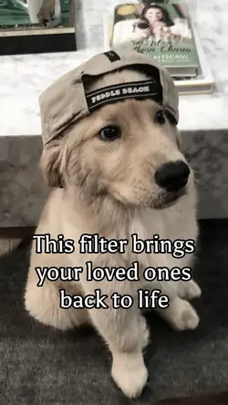 Bring to life filter