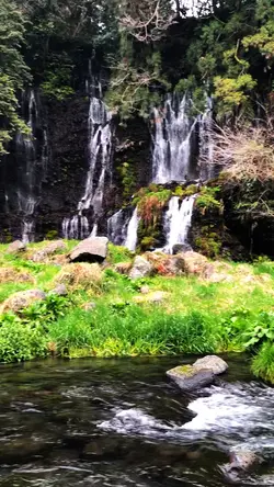 Nature