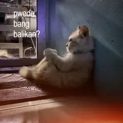 pwde bang