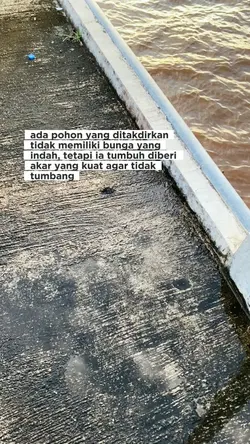 kata kata motivasi