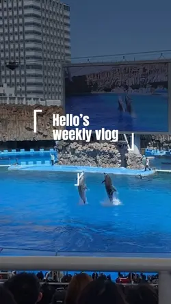 Weekend vlog 