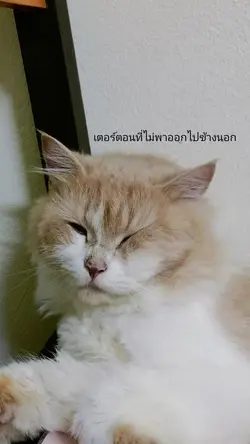 ใช่ตัวเดียวกันป่ะ