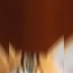 Catsandmoon