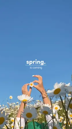 Spring is coming 
