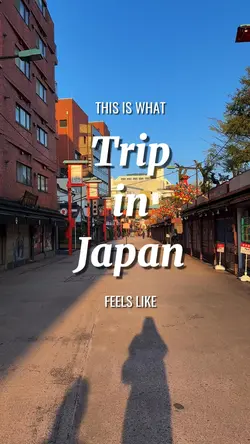 Trip templates 