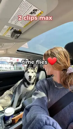 Time flies