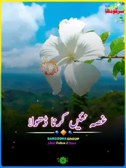 منڈی دی گجری 