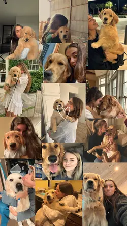 My dog 