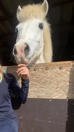 animals over people🤞
