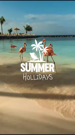 Summer Hollidays