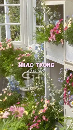 2 pic xinh