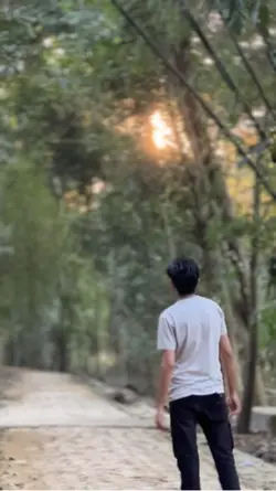 templatevideo  