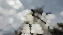 Landscape slowmotion