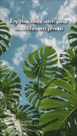 HD-filter 