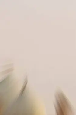 14 August Mubarak