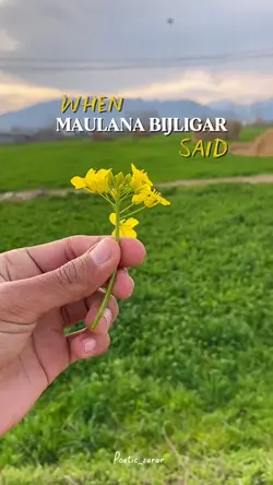 Pashto Poetry 🫴🫠