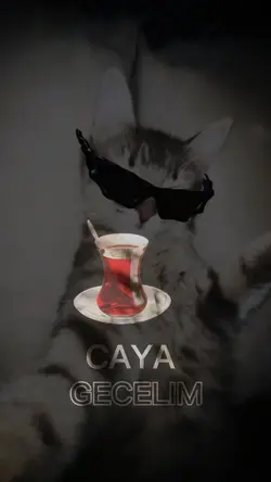 Çaya geçelim kankaaa