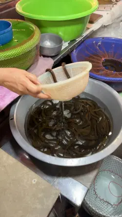 ทำบุญปล่อยปลา สาธุ