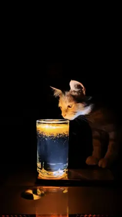 Viraltiktok glas