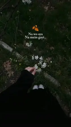 Na mein gayi