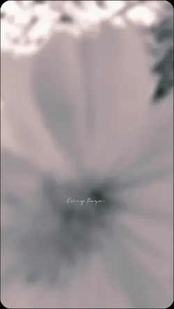 Hindi na Ako kakanta