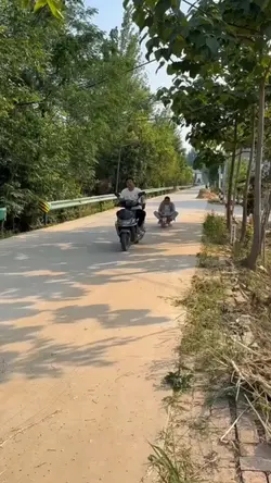 gaya nyungsep