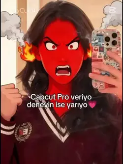 pro veriyomuş