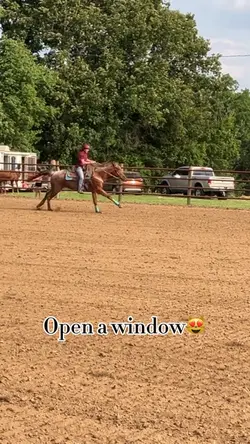 HOLY STRIDE😻