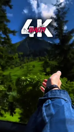 4k Quality 