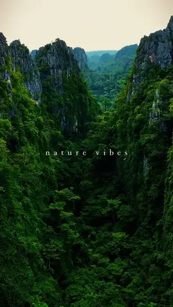 nature vibes