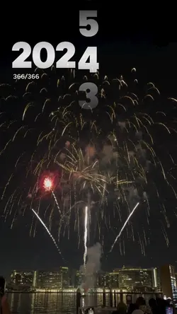 2025 New Year