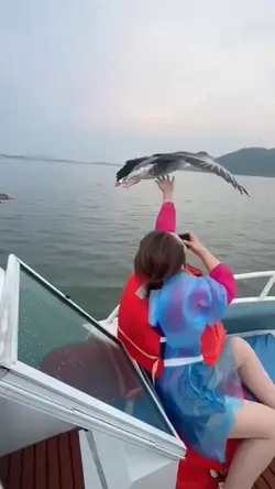 Fly bird template