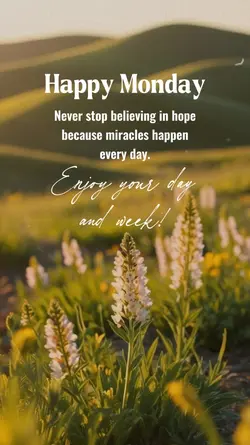 Happy Monday 