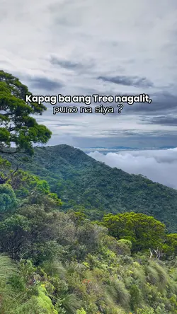 😌🌳 