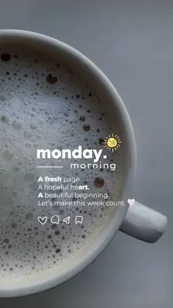 Monday Morning 🌞